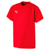 Puma Fußball Liga Training Trikot Fußballtrikot Kinder rot – Bild 1