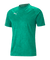 Puma teamCUP Trainingstrikot Herren grün – Bild 1