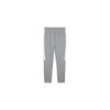 Puma teamEVOSTRIPE Pants - grau – Bild 2