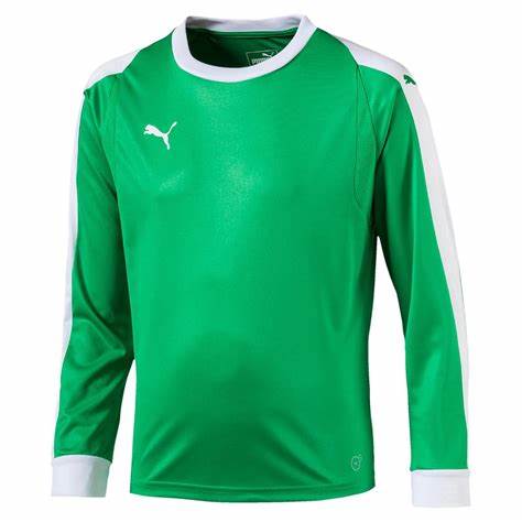 Puma LIGA Torwarttrikot Grün/Weiß – Bild 1