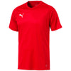 Puma Liga Core Herren Trikot rot/weiss – Bild 1