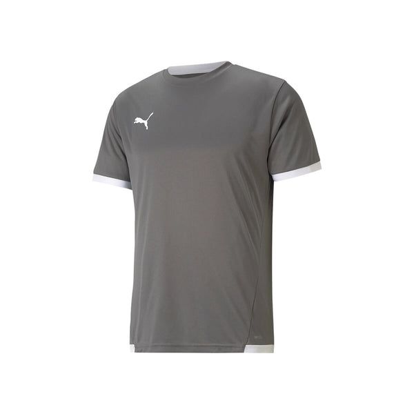 Puma teamLIGA Trikot Herren - grau – Bild 3