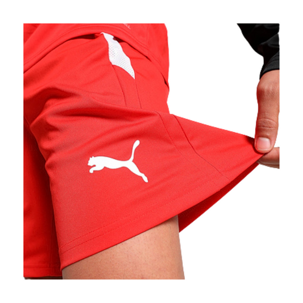 Puma teamLIGA Shorts Herren - rot – Bild 6