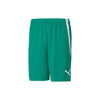 Puma teamLIGA Shorts Herren - grün Pepper Green-Puma White – Bild 9