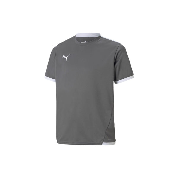 Puma teamLIGA Trikot Kinder - grau/weiß – Bild 1