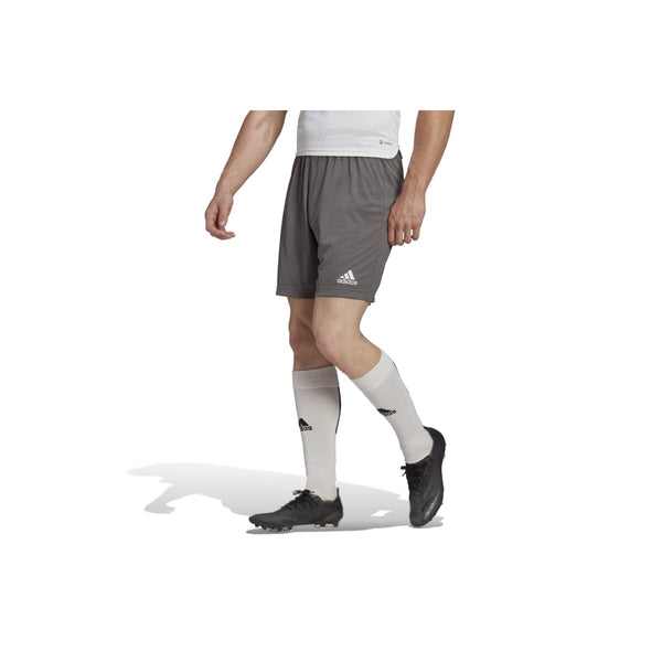 Adidas Entrada 22 Shorts Herren - grau – Bild 3