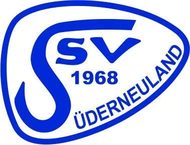 Aufkleber "Logo" - Teamdealer