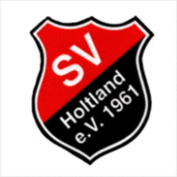 Aufkleber "Logo" - Teamdealer