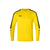 JAKO TW-Trikot Power - citro - Teamdealer