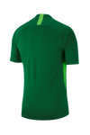 Nike Dri-FIT Legend Trikot Herren - dunkelgrün/grün - Teamdealer