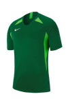 Nike Dri-FIT Legend Trikot Herren - dunkelgrün/grün - Teamdealer