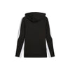 Puma teamEVOSTRIPE Hoody - schwarz - Teamdealer