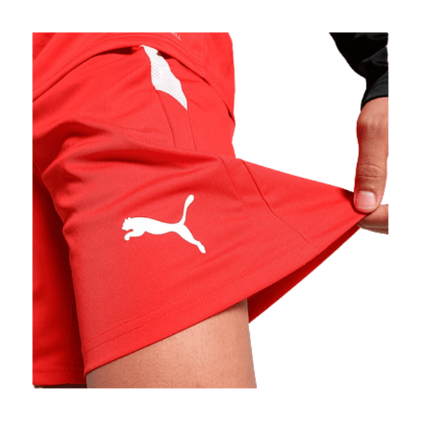 Puma teamLIGA Shorts Herren - rot - Teamdealer