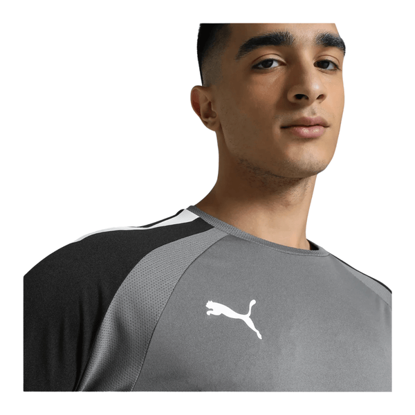 Puma teamPACER Torwarttrikot Langarm Herren - grau/schwarz - Teamdealer
