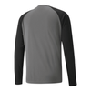 Puma teamPACER Torwarttrikot Langarm Herren - grau/schwarz - Teamdealer