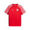 SV Großefehn x Puma - Trainingsshirt - Teamdealer