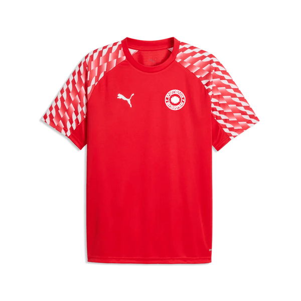 SV Großefehn x Puma - Trainingsshirt - Teamdealer