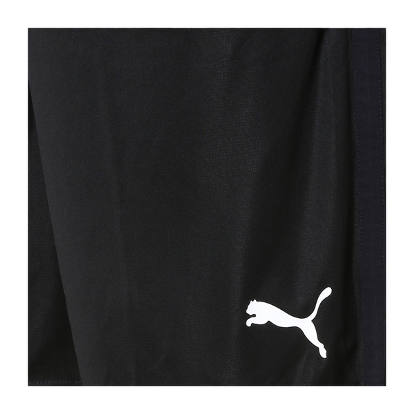 Puma Fußball Liga Training Shorts Core Fußballshorts Herren schwarz – Bild 12