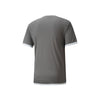 Puma teamLIGA Trikot Herren - grau – Bild 4
