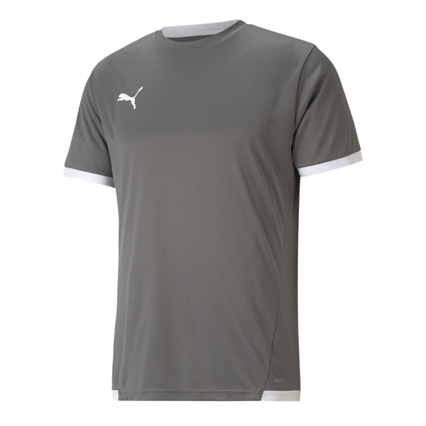 Puma teamLIGA Trikot Herren - grau – Bild 5