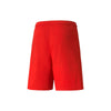 Puma teamLIGA Shorts Herren - rot – Bild 9