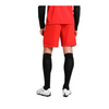 Puma teamLIGA Shorts Herren - rot – Bild 5