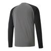 Puma teamPACER Torwarttrikot Langarm Herren - grau/schwarz – Bild 16