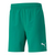 Puma teamFINAL Herren Shorts grün – Bild 1