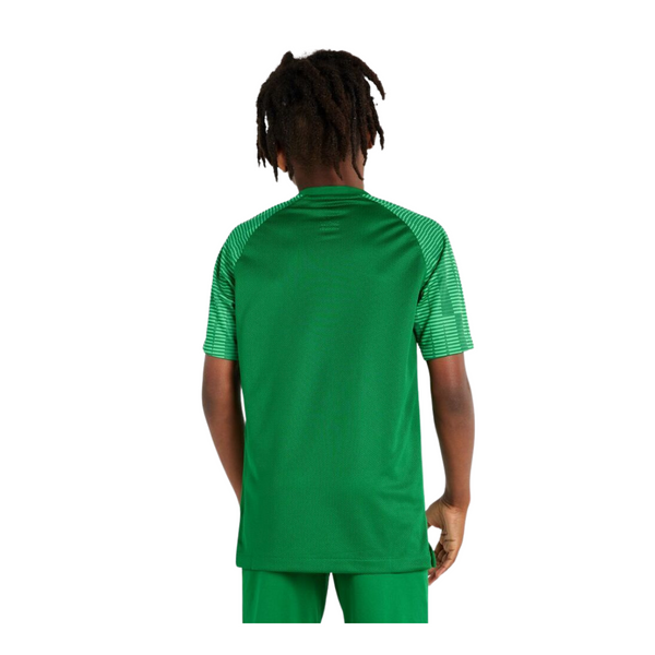 Nike Kinder Academy 22 Trikot grün – Bild 19