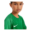 Nike Kinder Academy 22 Trikot grün – Bild 20