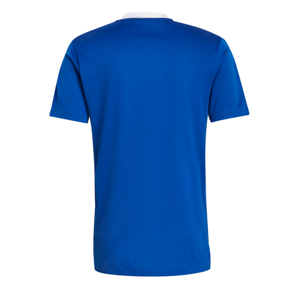 Adidas Tiro 21 Trainingstrikot Herren blau weiß – Bild 2