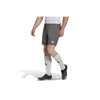 Adidas Entrada 22 Shorts Herren - grau – Bild 11