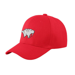 AFC Basecap - Teamdealer