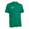 Derbystar Primo Trikot - gruen weiss - Teamdealer