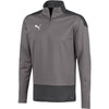 Puma GOAL 23 Training 1/4 Top Herren grau - Teamdealer
