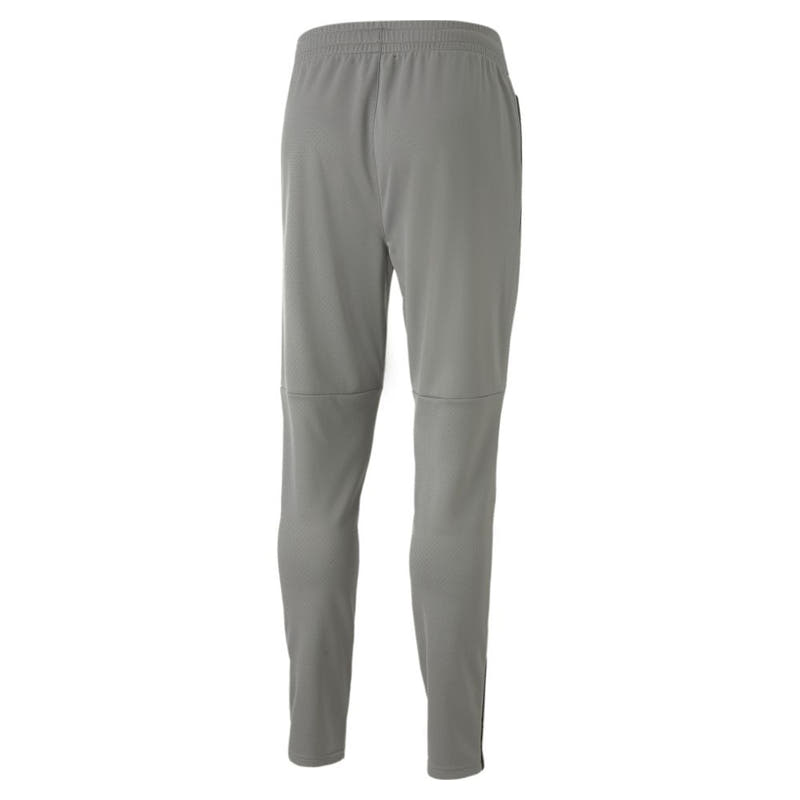 Puma teamCUP Trainingshose Herren grau - Teamdealer