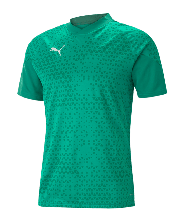 Puma teamCUP Trainingstrikot Herren grün - Teamdealer
