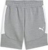 Puma teamEVOSTRIPE Shorts - grau - Teamdealer