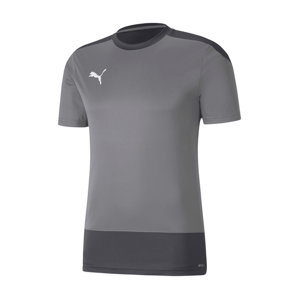 Puma teamGOAL 23 Trainingsshirt Herren - grau - Teamdealer