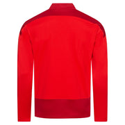 Puma teamGOAL 23 Trainingstop Herren - rot - Teamdealer