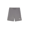 Puma teamGOAL Shorts - Grau/Weiß - Teamdealer