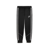 Puma teamKING Anthem Hose - Schwarz/Weiß - Teamdealer