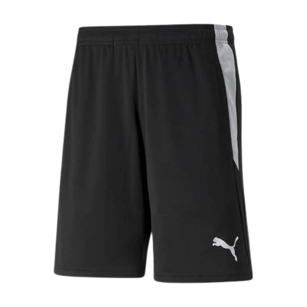 Puma teamLIGA Schiedsrichter Shorts Herren schwarz weiß - Teamdealer