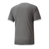 Puma teamLIGA Trikot Herren - grau - Teamdealer