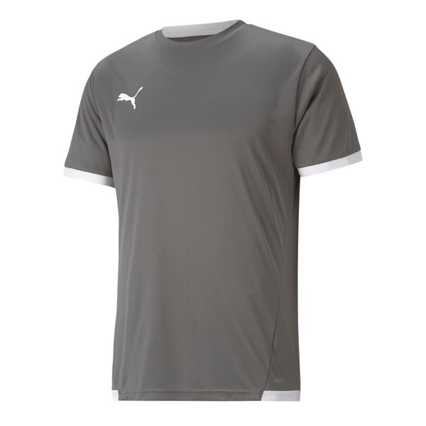 Puma teamLIGA Trikot Herren - grau - Teamdealer