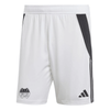 SG Egels - Popens x SC Wiesens Adidas Sportshorts - Teamdealer