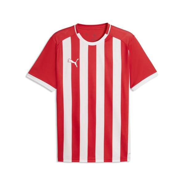 SV Großefehn - Ausweichtrikot - 2026/27 - Teamdealer