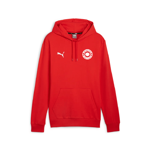 SV Großefehn x Puma - Hoodie - Teamdealer