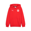 SV Großefehn x Puma - Hoodie - Teamdealer
