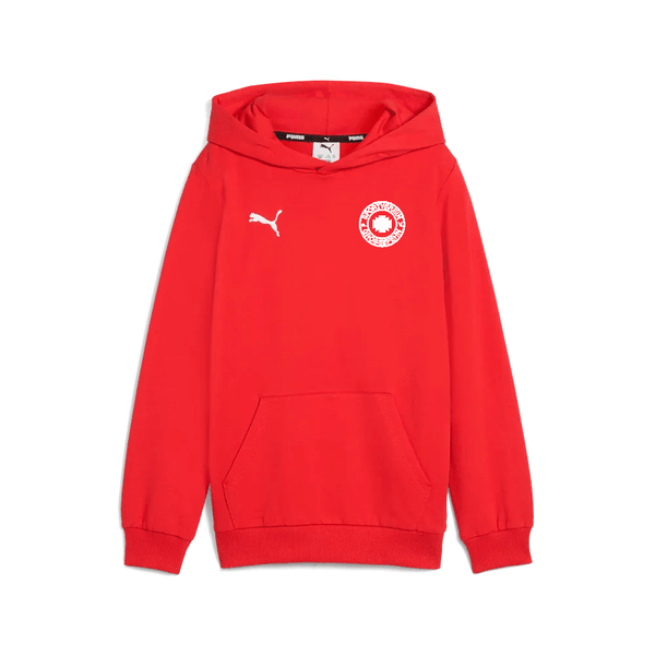 SV Großefehn x Puma - Hoodie - Teamdealer